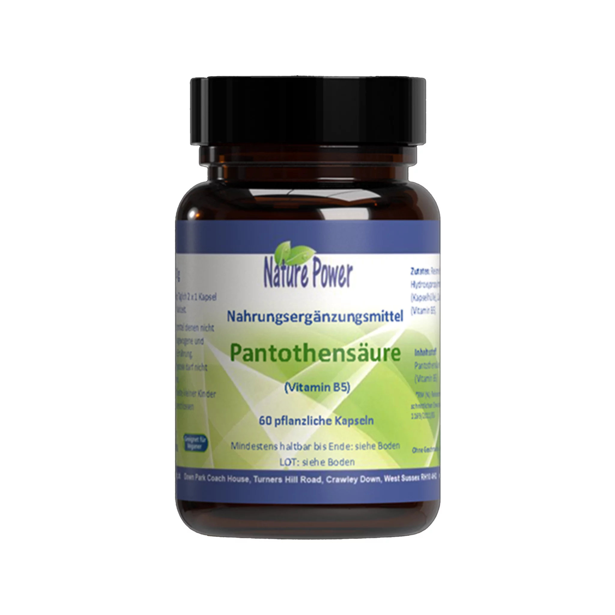 Pantothensäure (Vitamin B5)