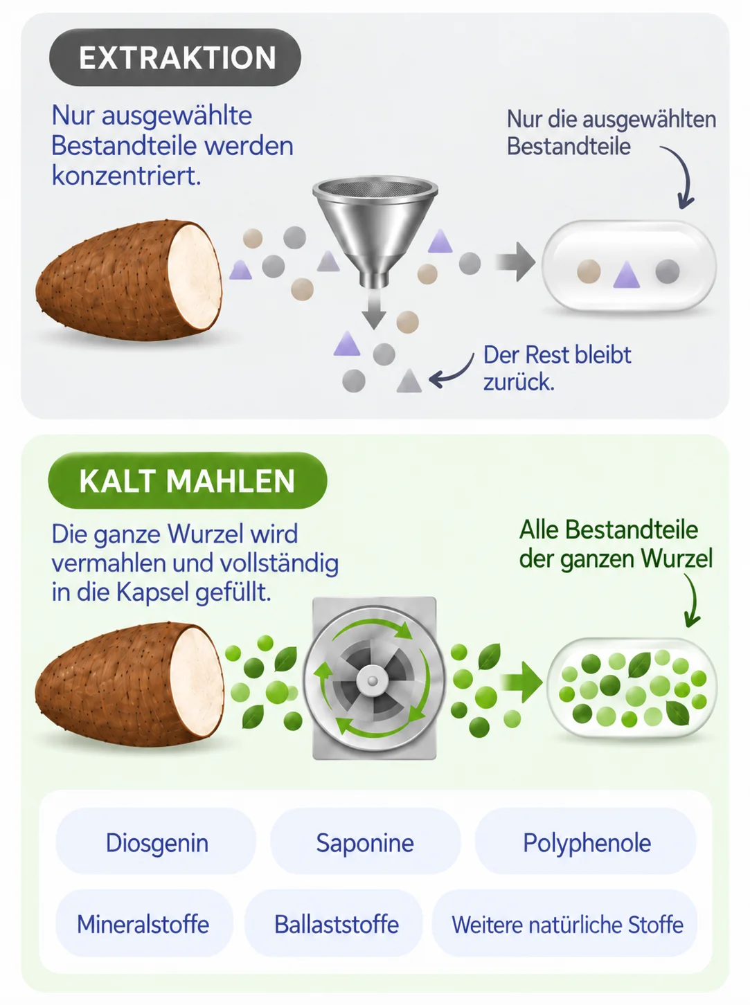 Die zwei Wege von der Wurzel zur Kapsel
